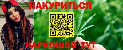 крисы Новокубанск