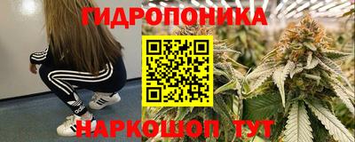 твердый Новозыбков