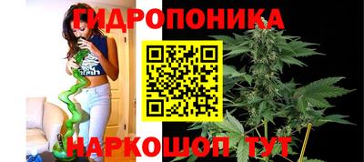 твердый Новозыбков