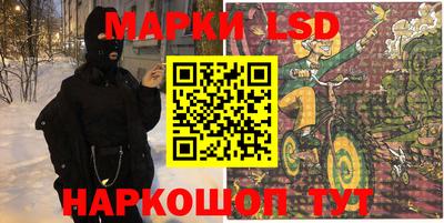 крисы Новокубанск