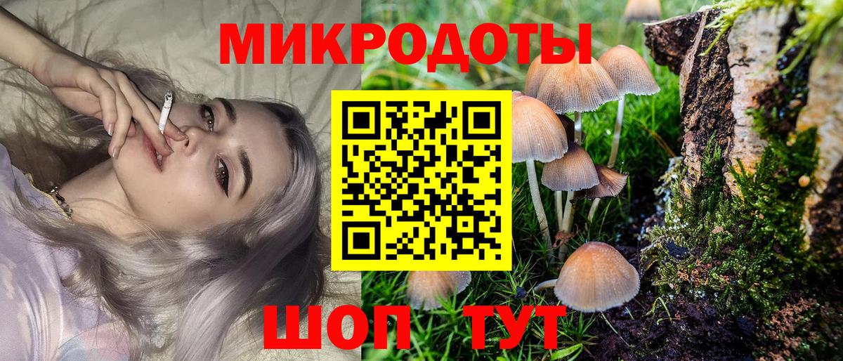 Псилоцибиновые грибы Psilocybe Пыть-Ях